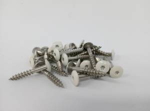 100 Stück Trespo-Fassadenschraube Edelstahl A4, 5,5 x 35 mm, RAL 9010 - Reinweiß, TX 20 - 0