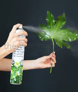 12 x Spraydose (Leafshine) Blattglanz Brilliant 750 ml - 0