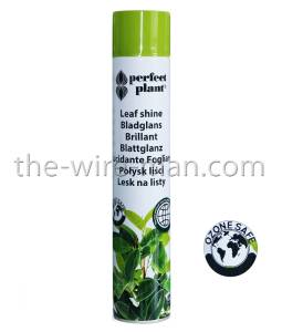 12 x Spraydose (Leafshine) Blattglanz Brilliant 750 ml - 1